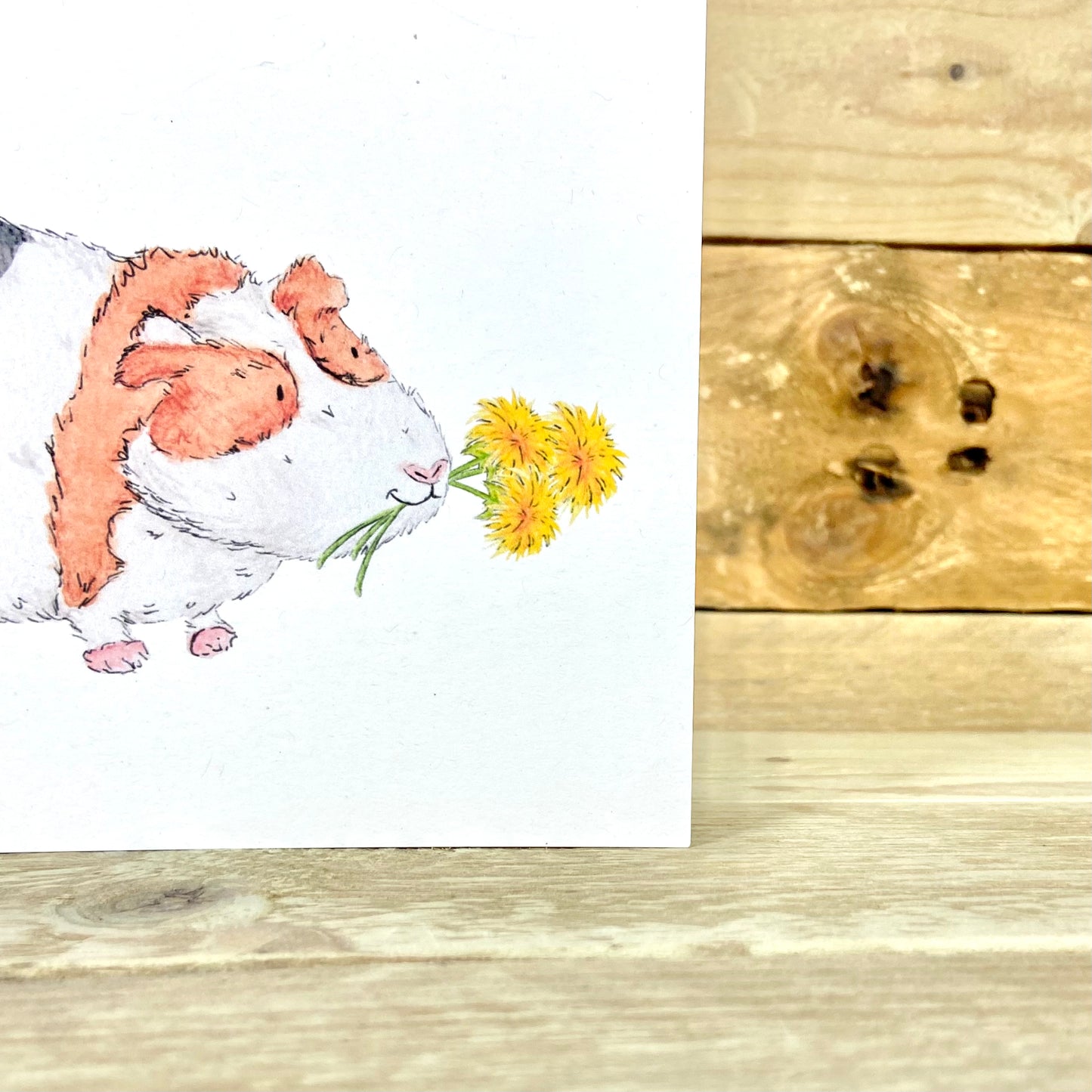 Harry's Dandelion Birthday Card