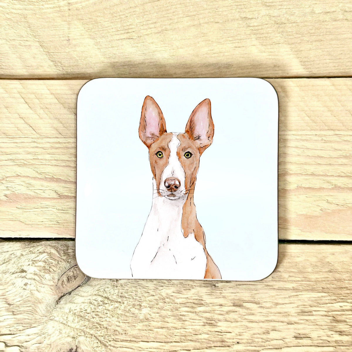 Ibizan Hound Coaster