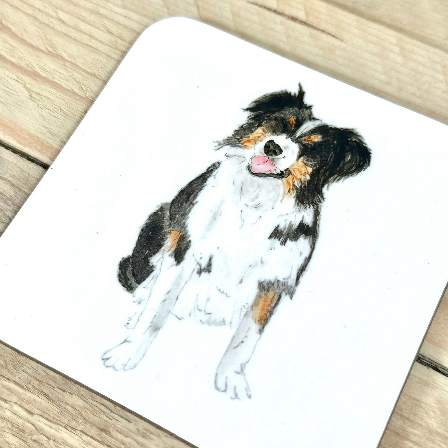 Border Collie Coaster