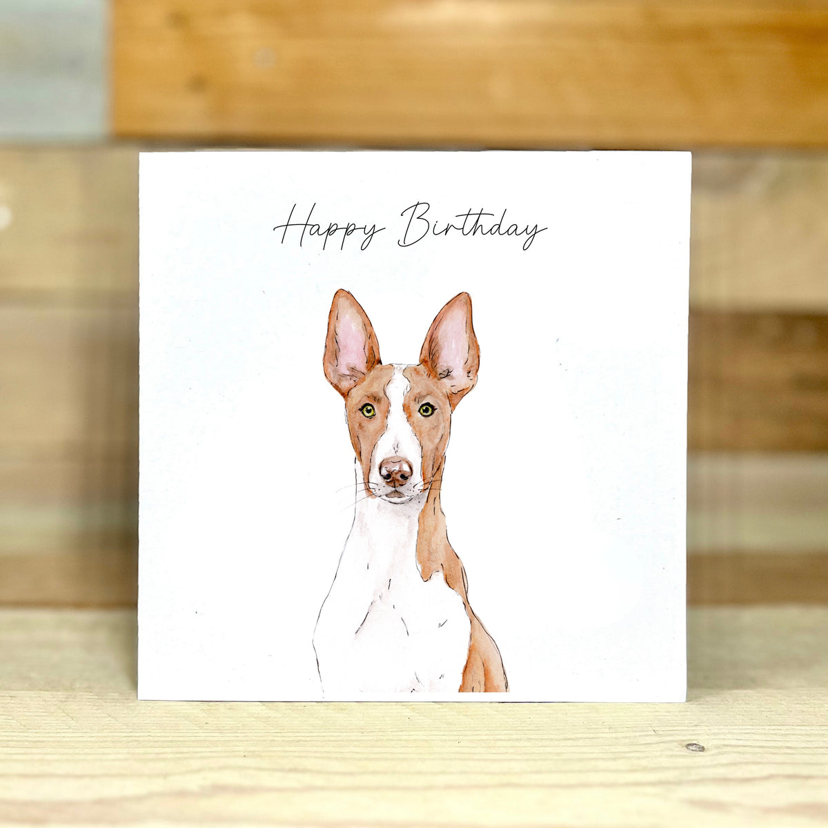 Wallaby the Ibizan Hound Birthday Card