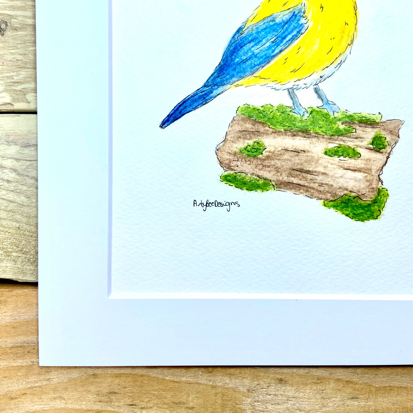 Belle the Bluetit Original Painting