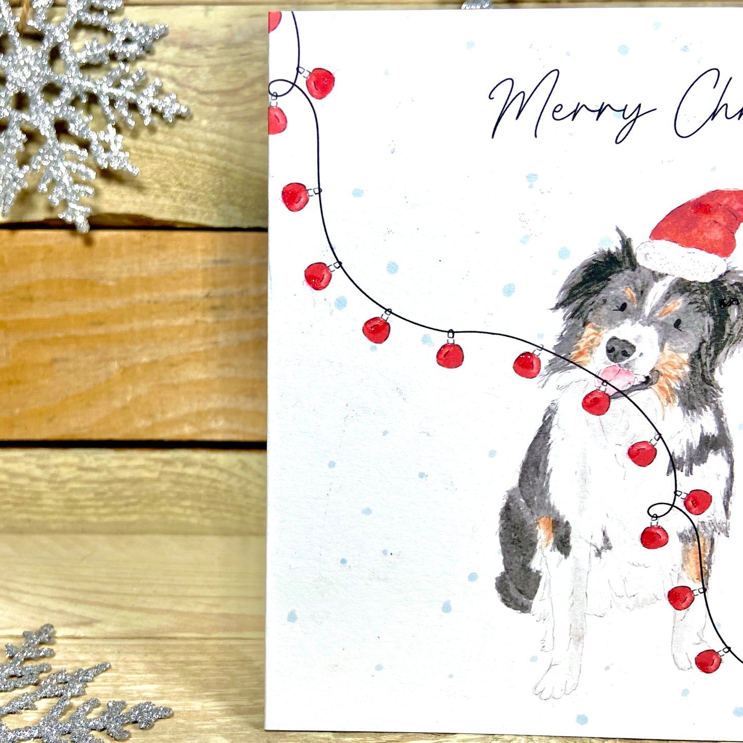 Cap the Collie at Christmas Card