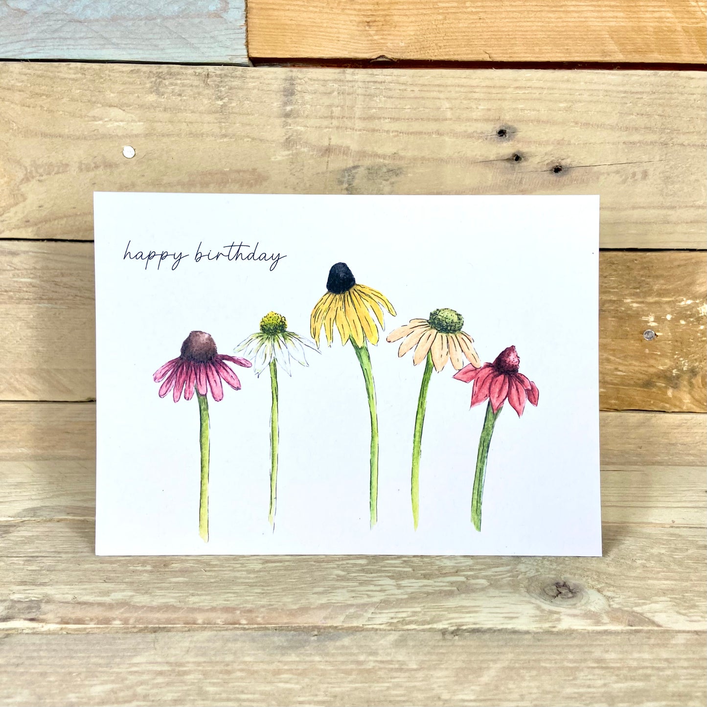 Coneflower Power Seeded Birthday Card