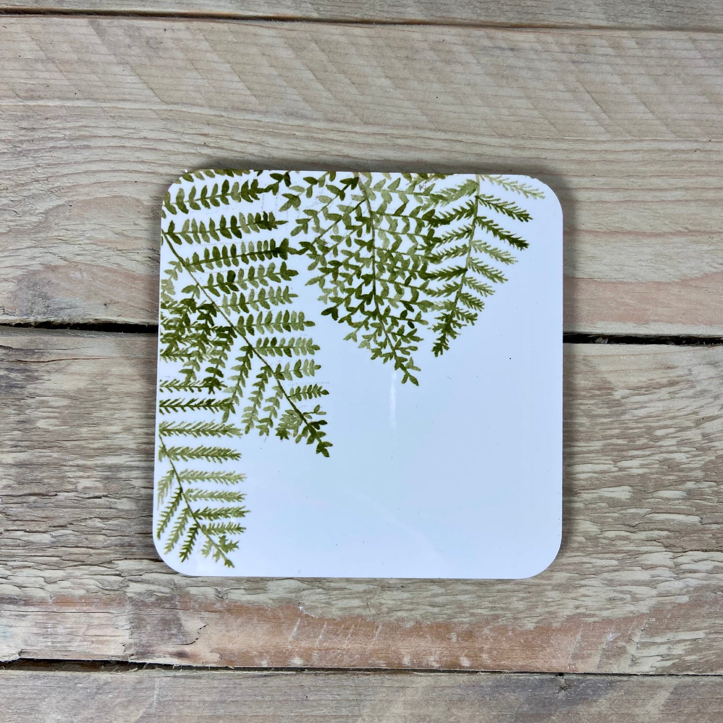 Wonky Fern Coaster