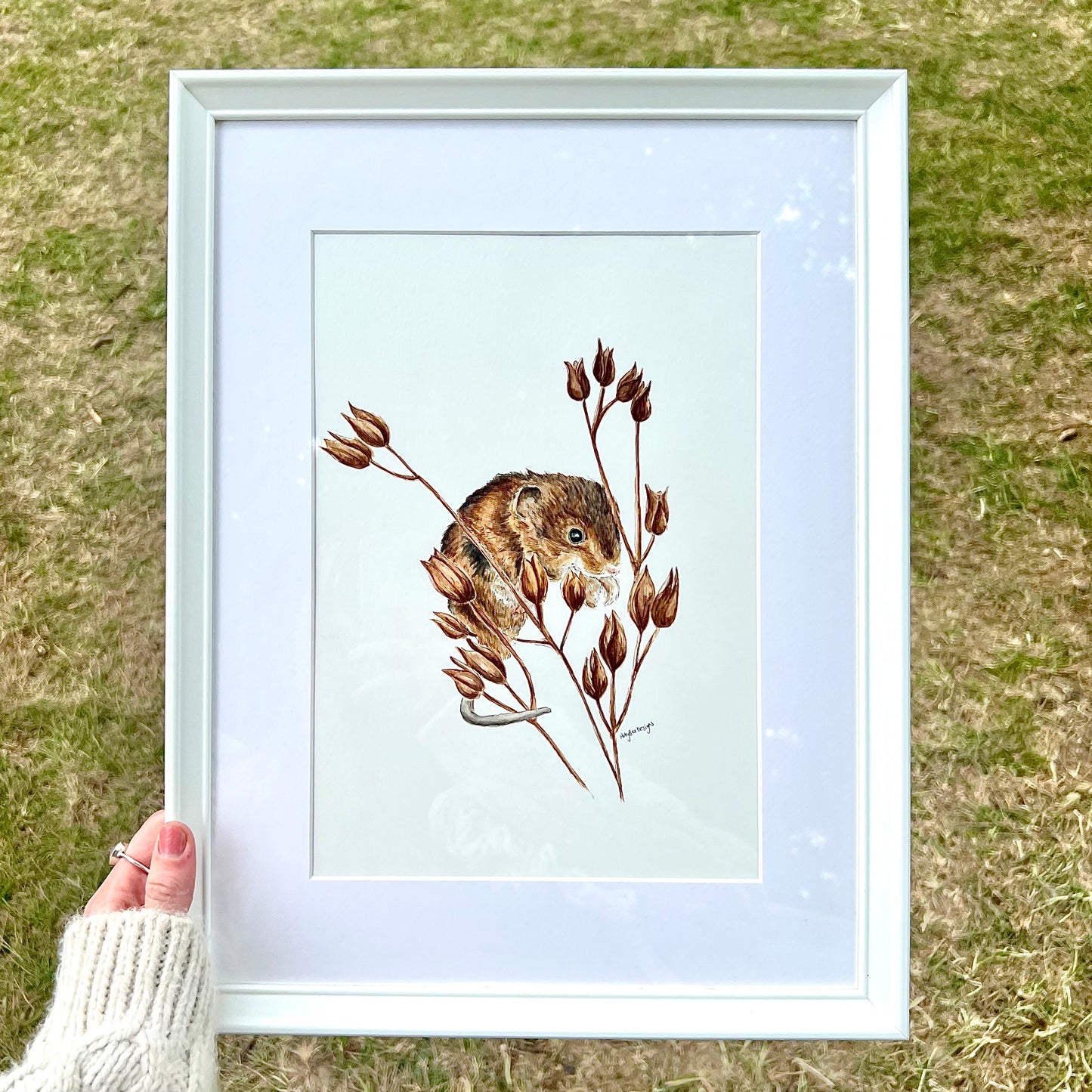 A Harvest Mouse Framed Original Painting