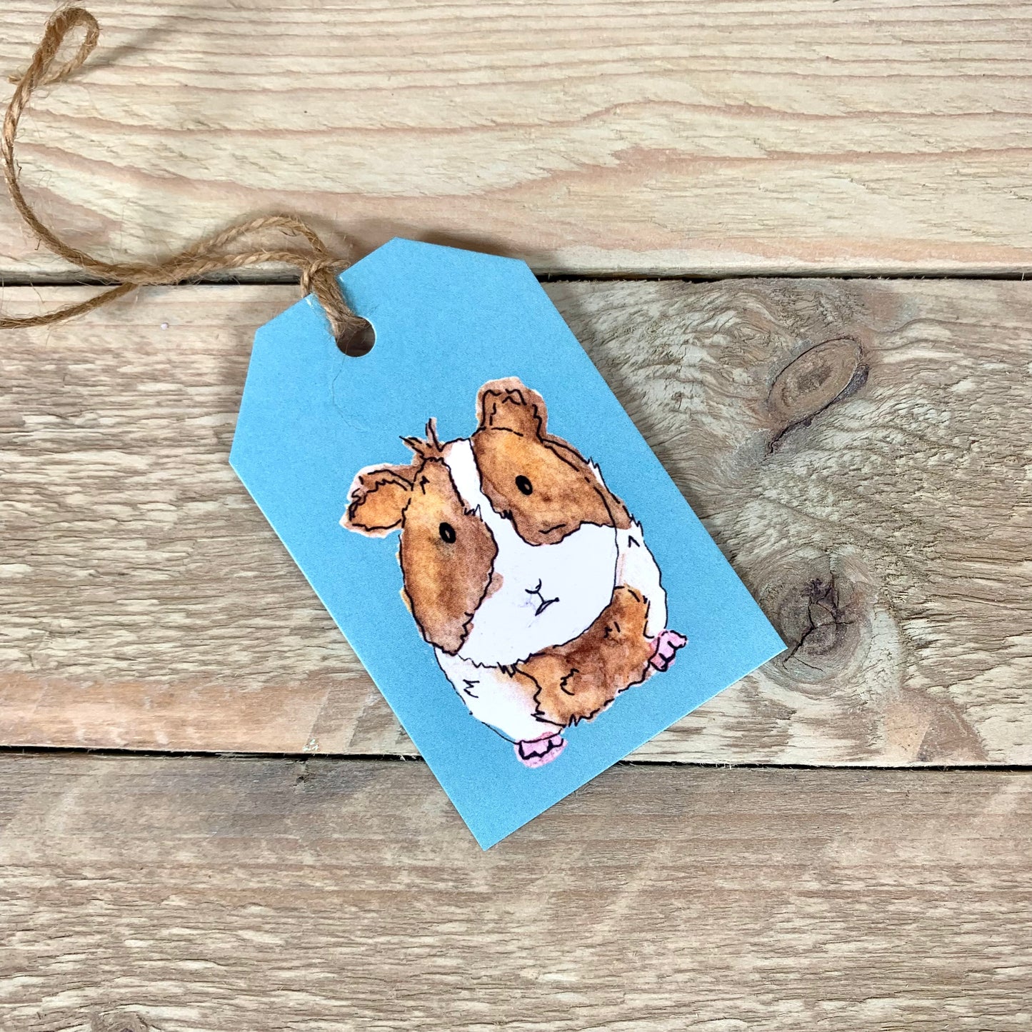Guinea pig Gift Tags