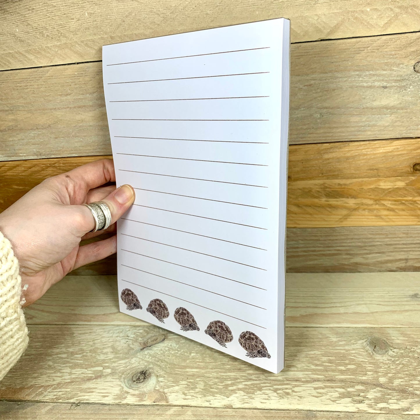 Tina the Tortoise A5 Notepad