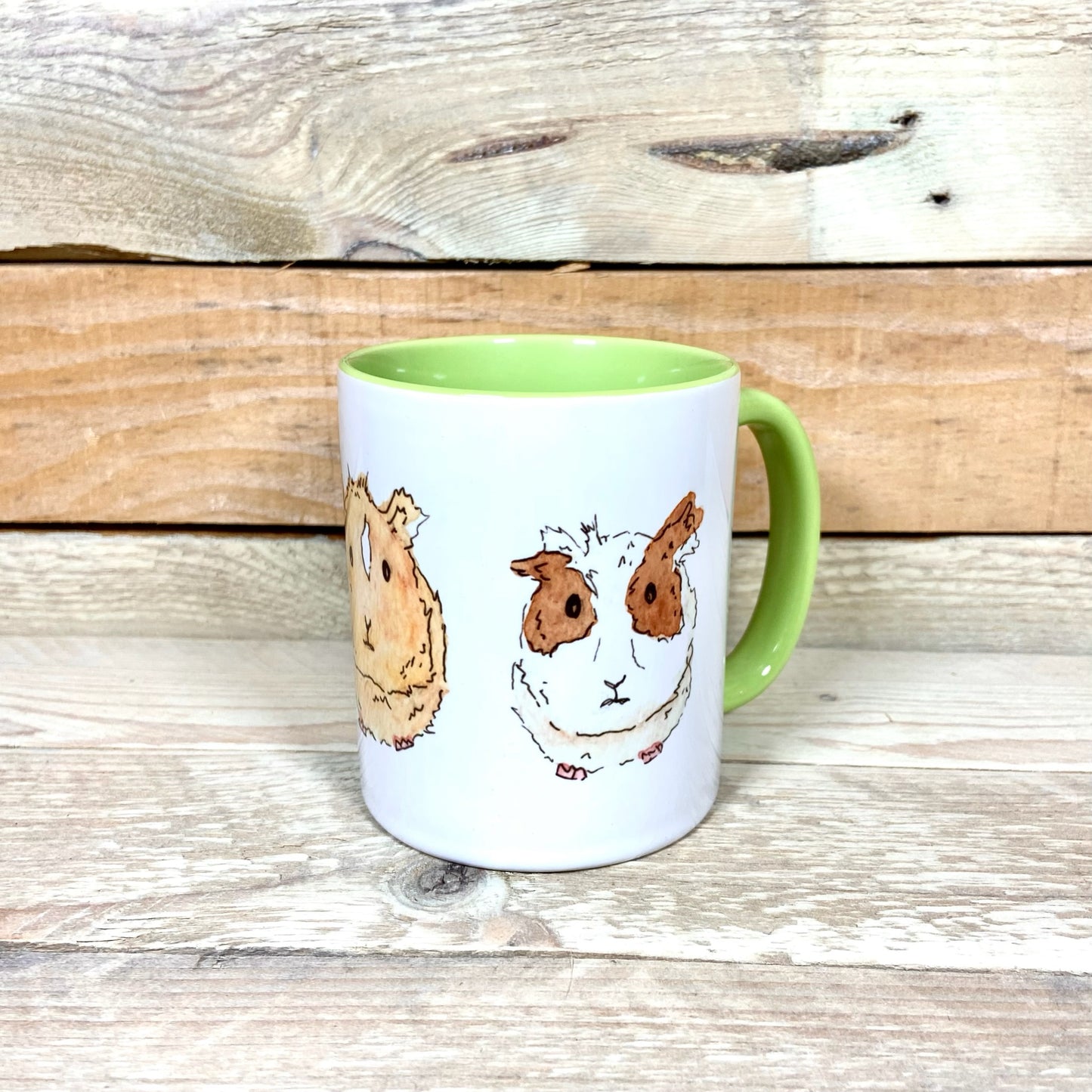 Tom, Dick and Harry the Guinea pigs Mug