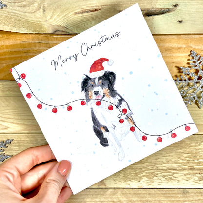 Cap the Collie at Christmas Charity Christmas Card