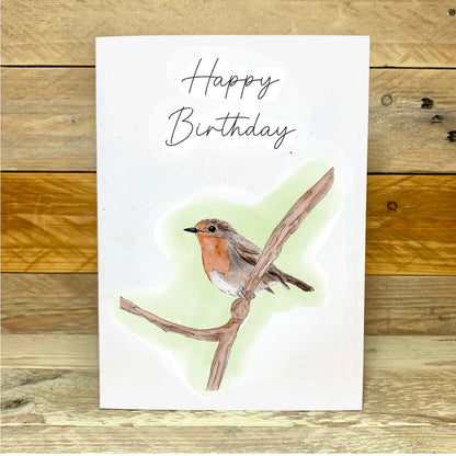 Mr Robin Birthday Card
