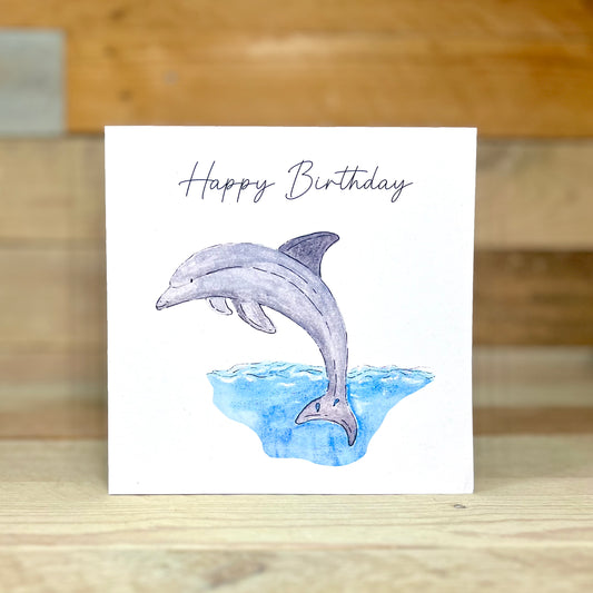 Dippy the Dolphin Birthday Card