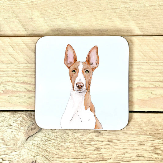 Ibizan Hound Coaster