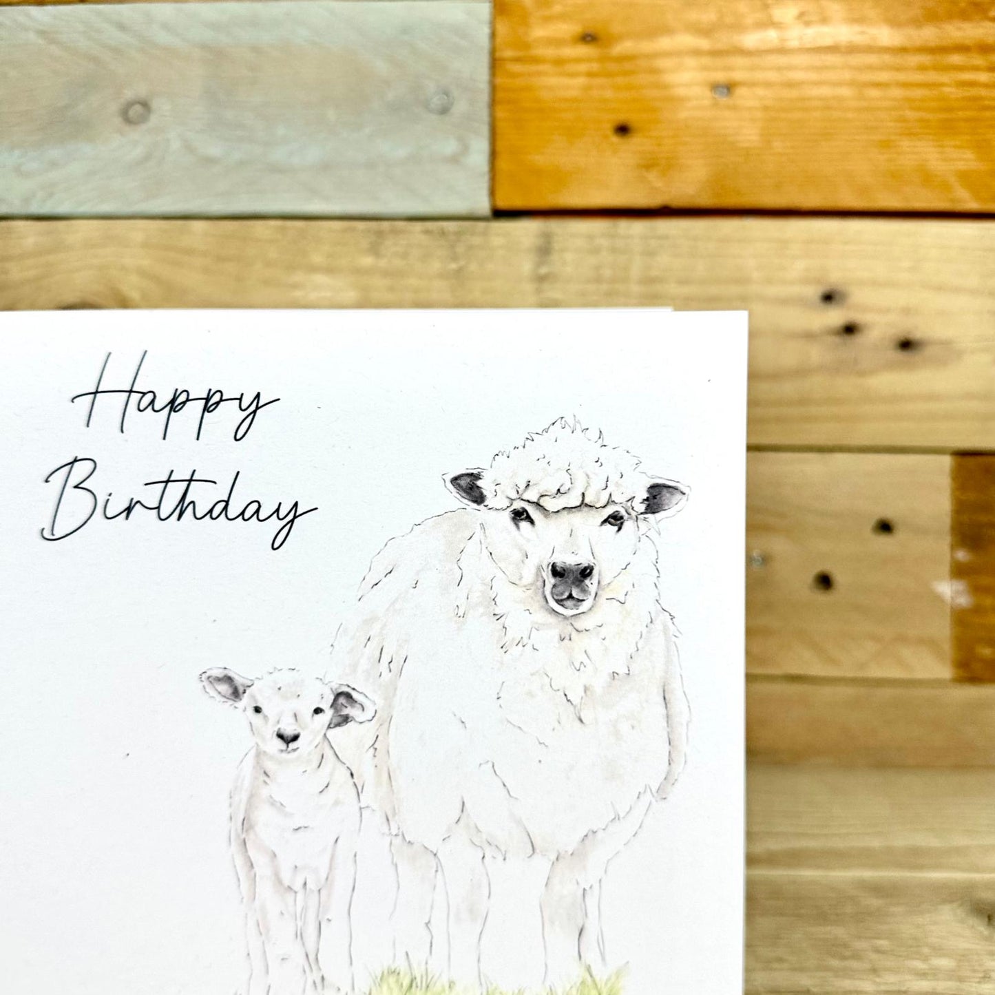 Romney Rhona and Flopsy the Sheep Birthday Card