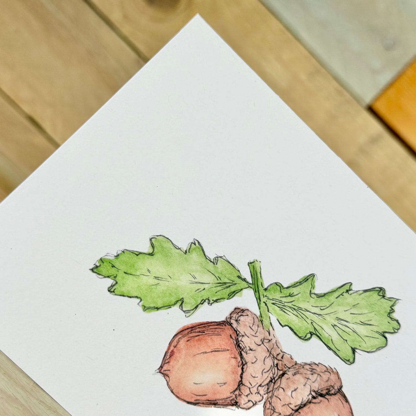 Acorns Notelet