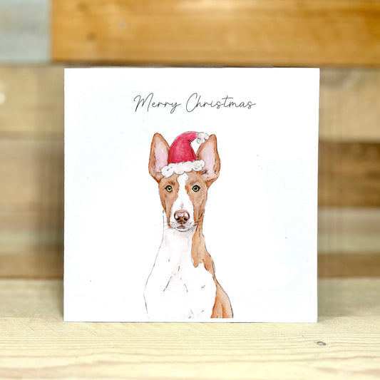 Ibizan Hound Charity Christmas Card