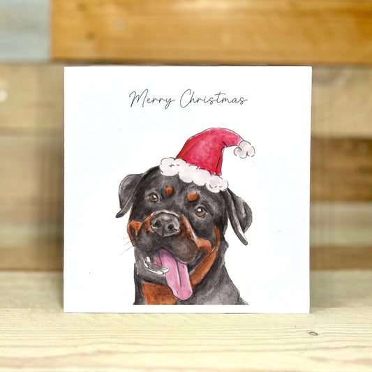 Buzz the Rottweiler at Christmas Charity Card