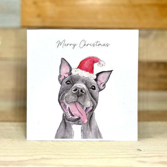 Luna the Staffie at Christmas Charity Card