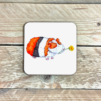 Harry the Guinea Pig Coaster