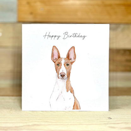 Wallaby the Ibizan Hound Birthday Card