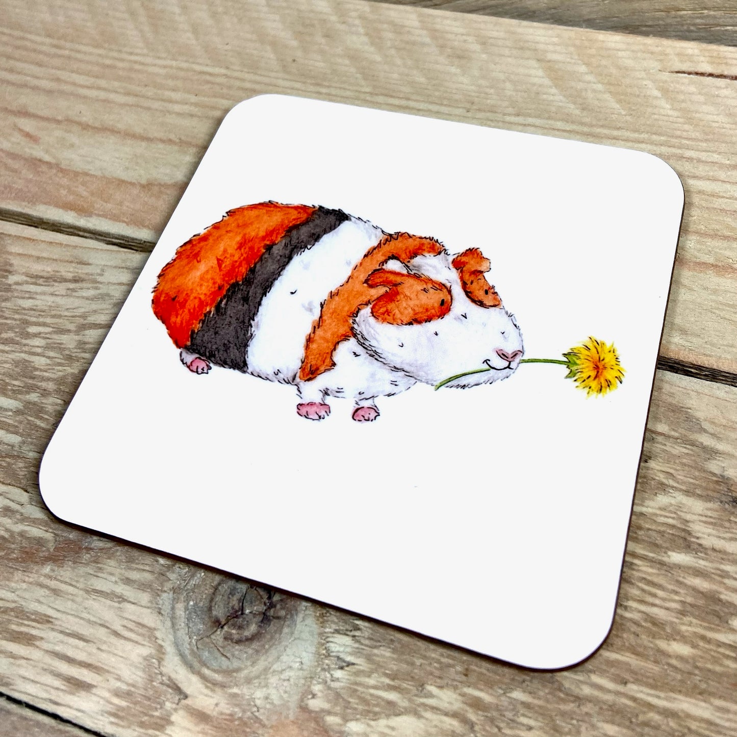 Harry the Guinea Pig Coaster