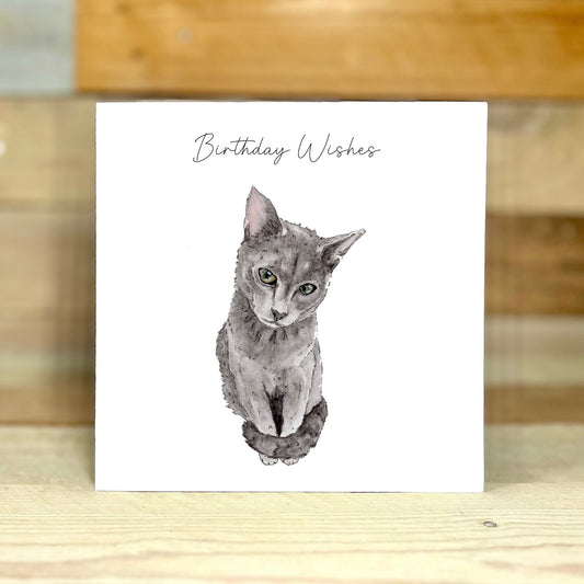 Purrrffect Birthday Cat Card