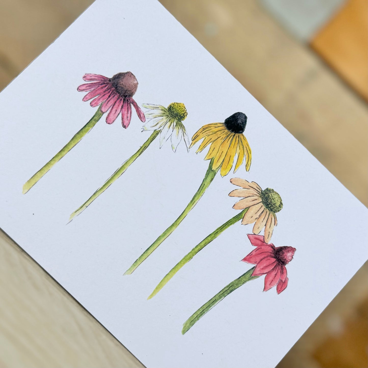 Coneflowers Notelet – Arty Bee Designs