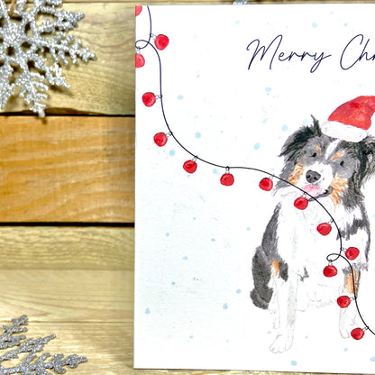 Cap the Collie at Christmas Card