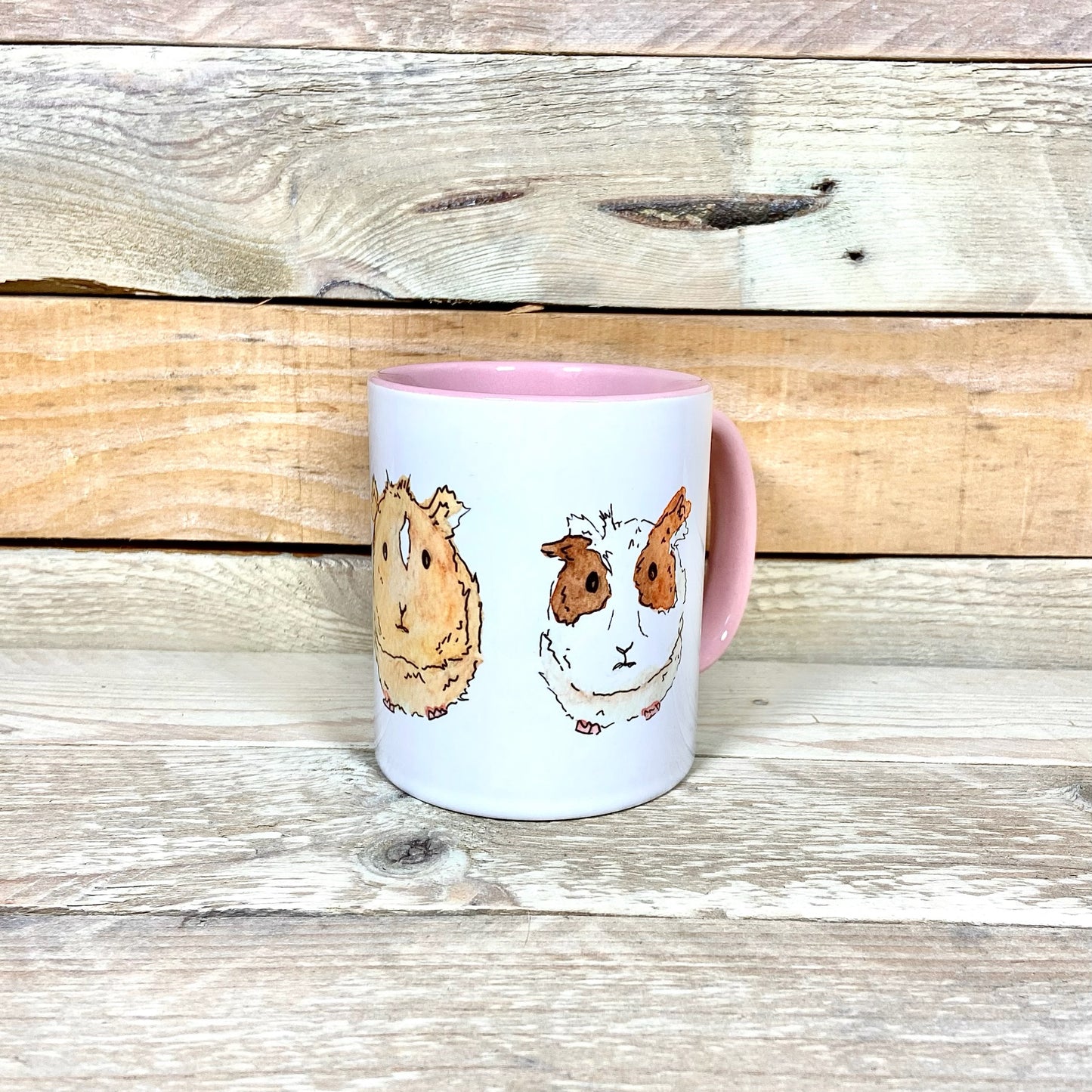 Tom, Dick and Harry the Guinea pigs Mug