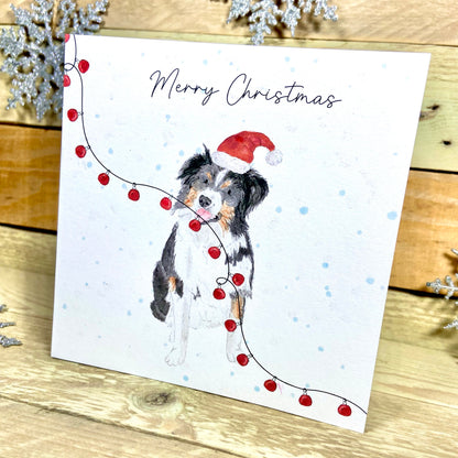 Cap the Collie at Christmas Card