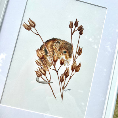 A Harvest Mouse Framed Original Painting