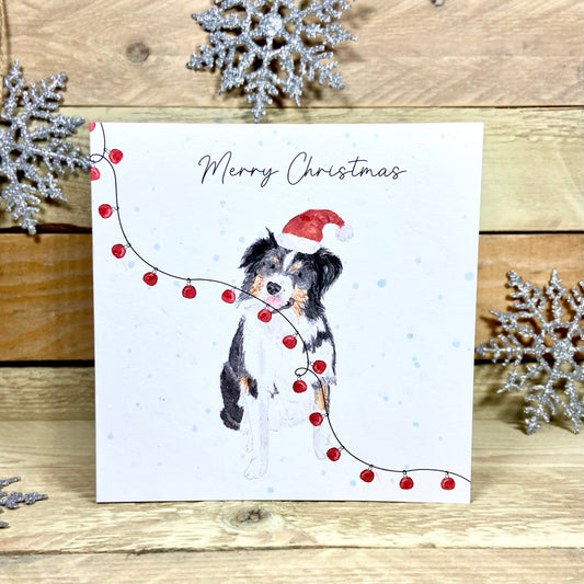 Cap the Collie at Christmas Card