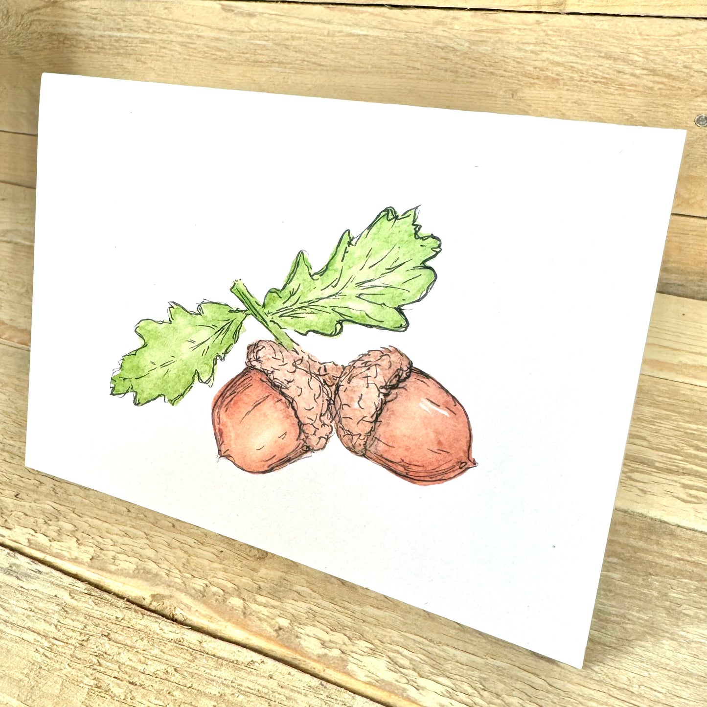 Acorns Notelet – Arty Bee Designs