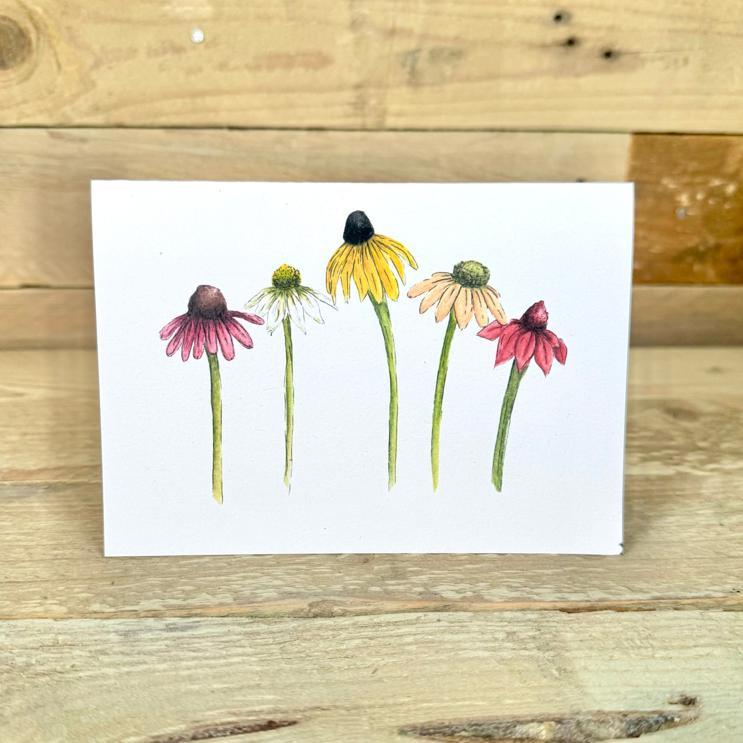 Coneflowers Notelet – Arty Bee Designs