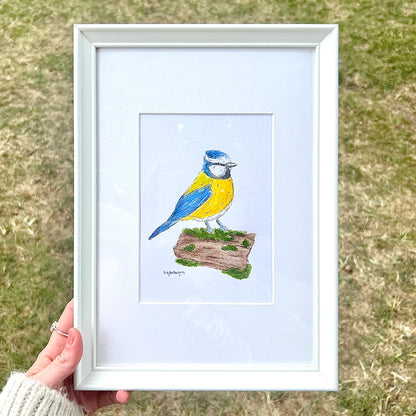 Belle the Bluetit Framed Original Painting