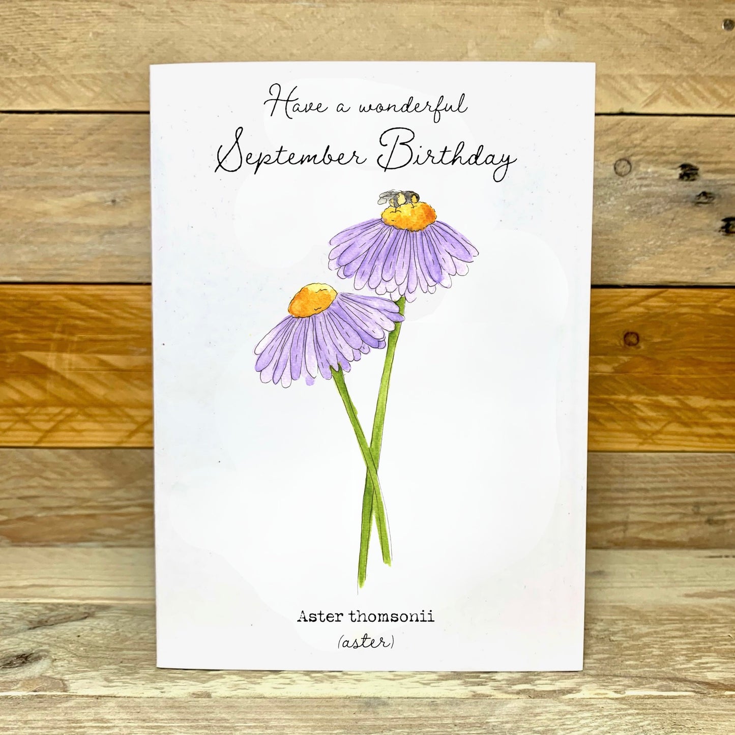September / Aster Birth Flower Card