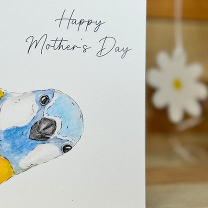 Hello... it's me the Bluetit Mother's Day Card