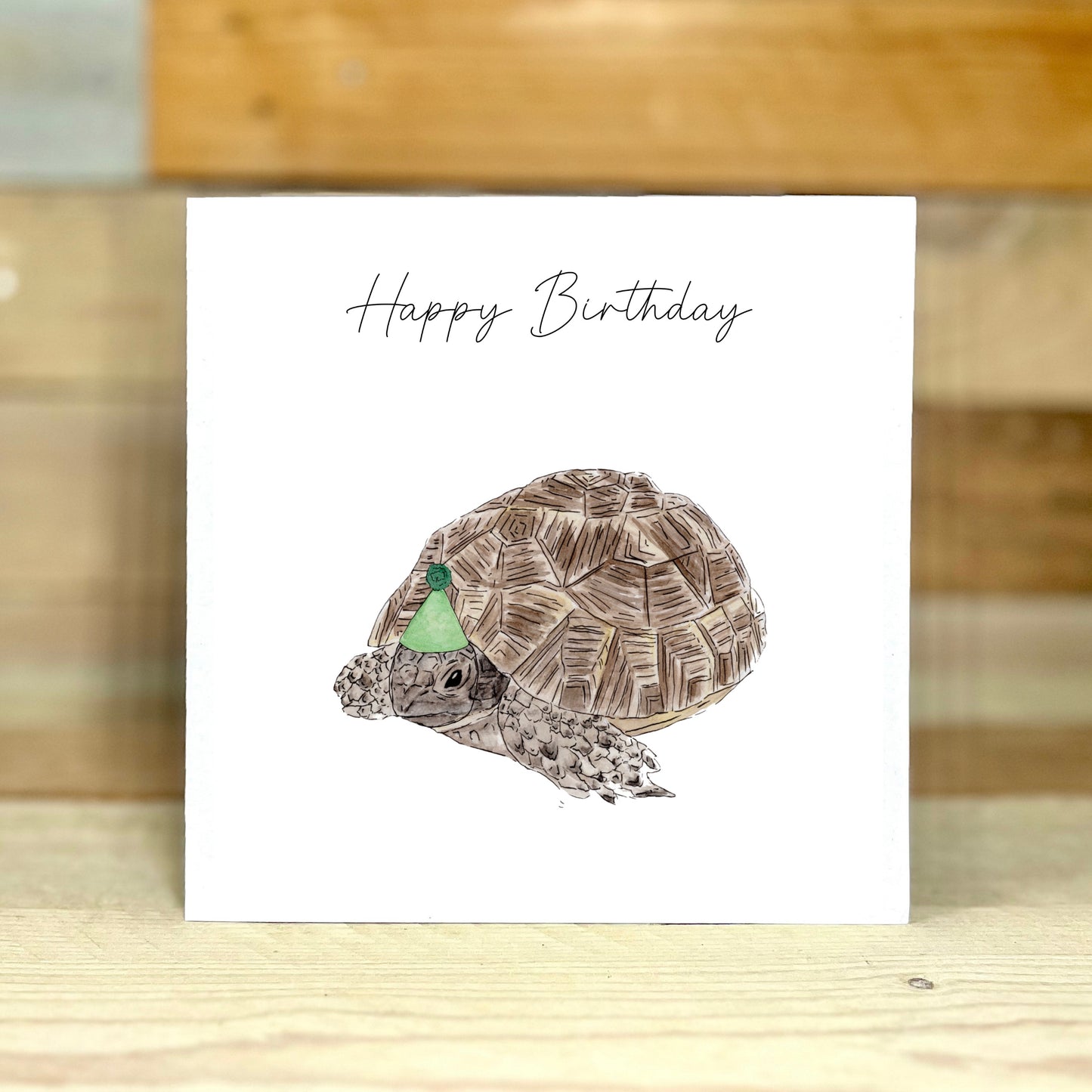 Tina the Tortoise Birthday card