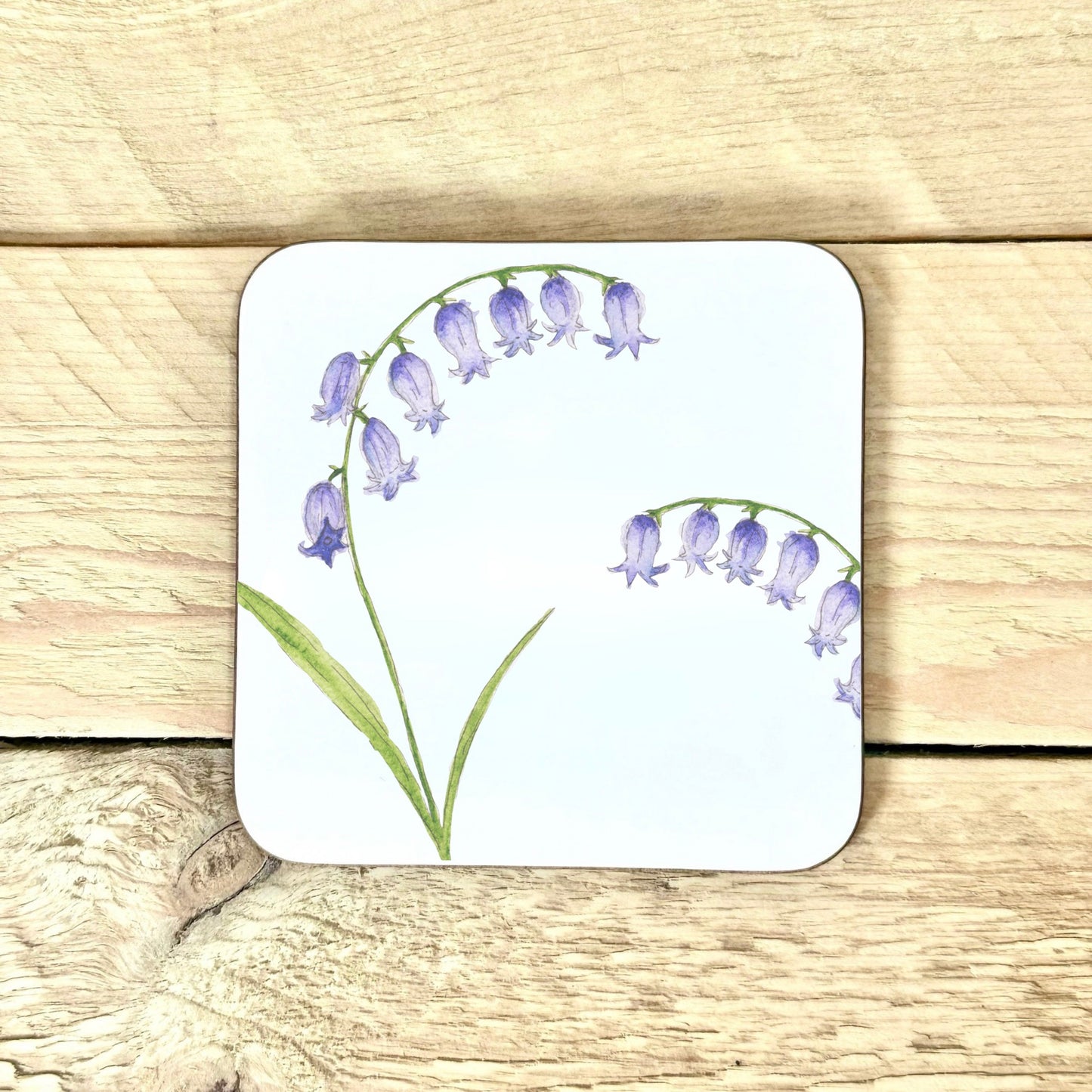 Bluebell Coaster