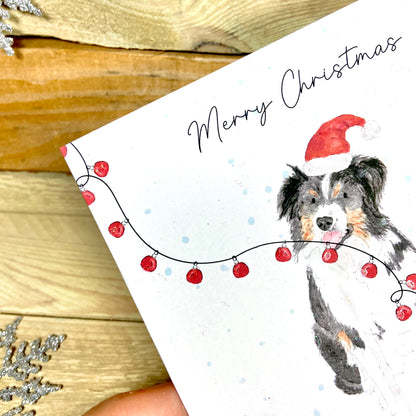 Cap the Collie at Christmas Card