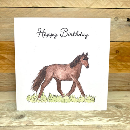 Hollie the Horse Birthday card