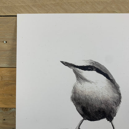 Nuthatch Square Print - Arty Bee Designs 