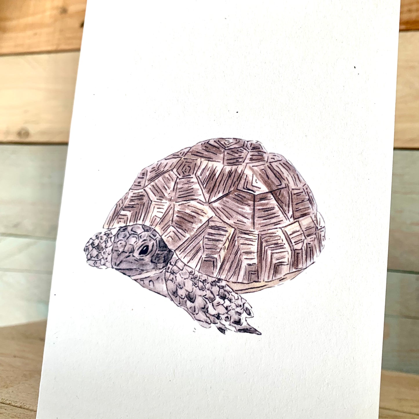Tina The Tortoise Notelet