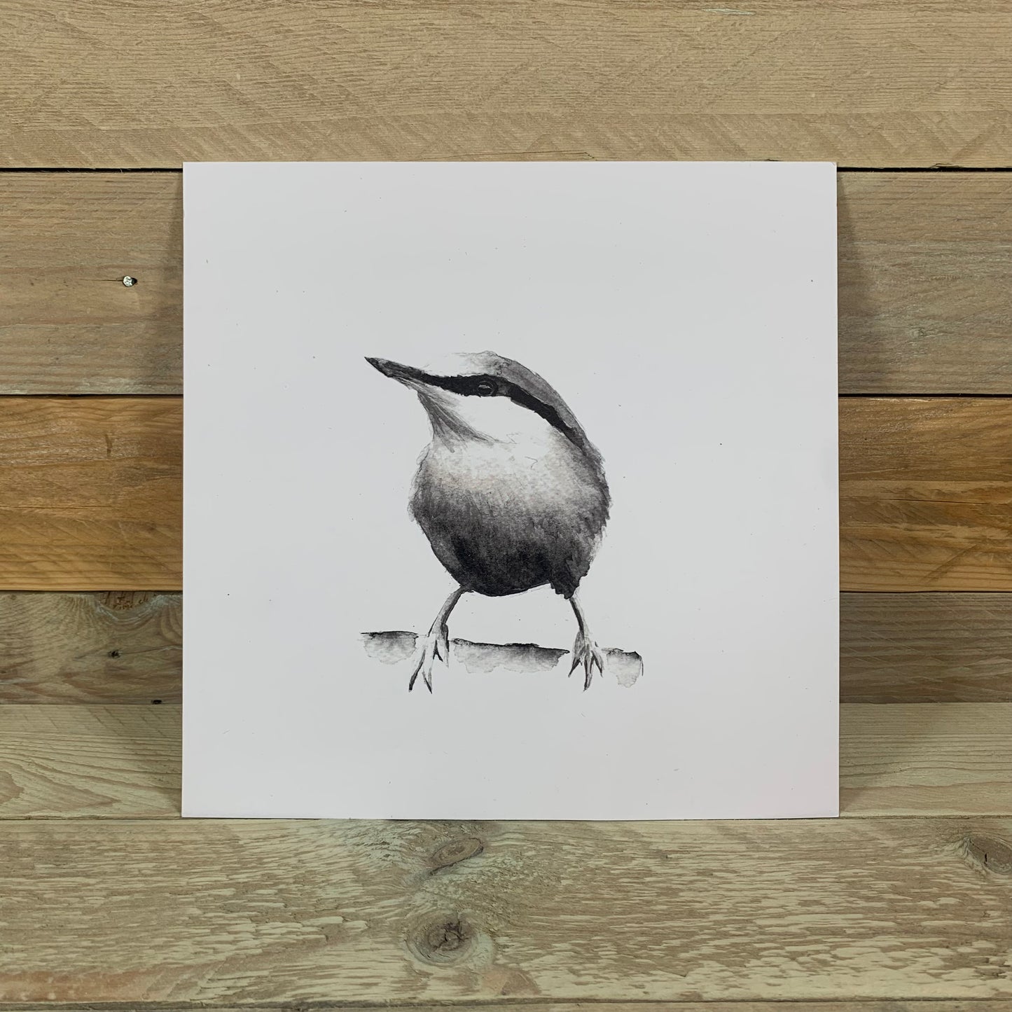 Nuthatch Square Print - Arty Bee Designs 
