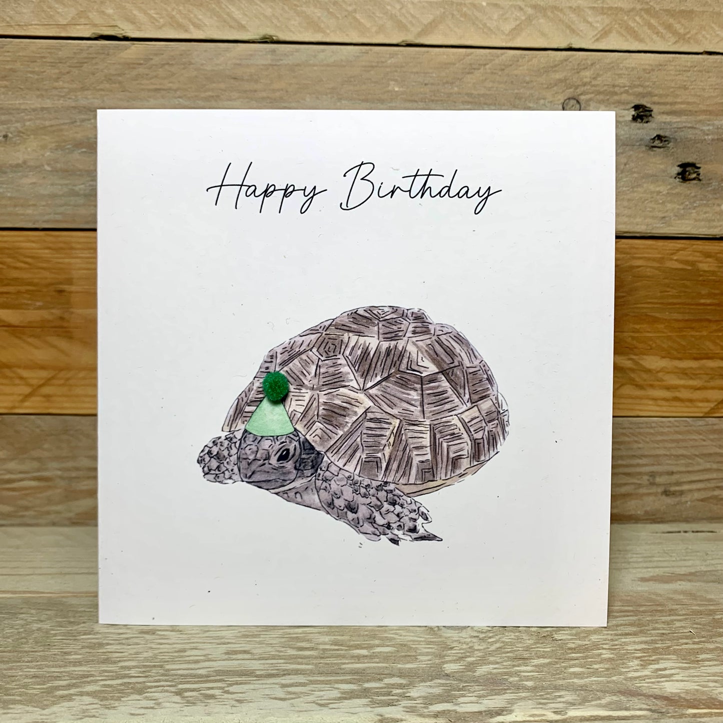 Tina the Tortoise Birthday card
