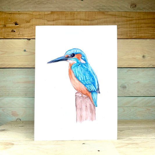 Beaky Blue The Kingfisher Blank Card