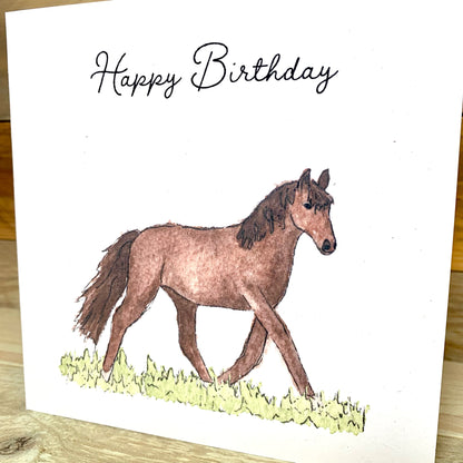 Hollie the Horse Birthday card