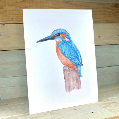 Beaky Blue The Kingfisher Blank Card