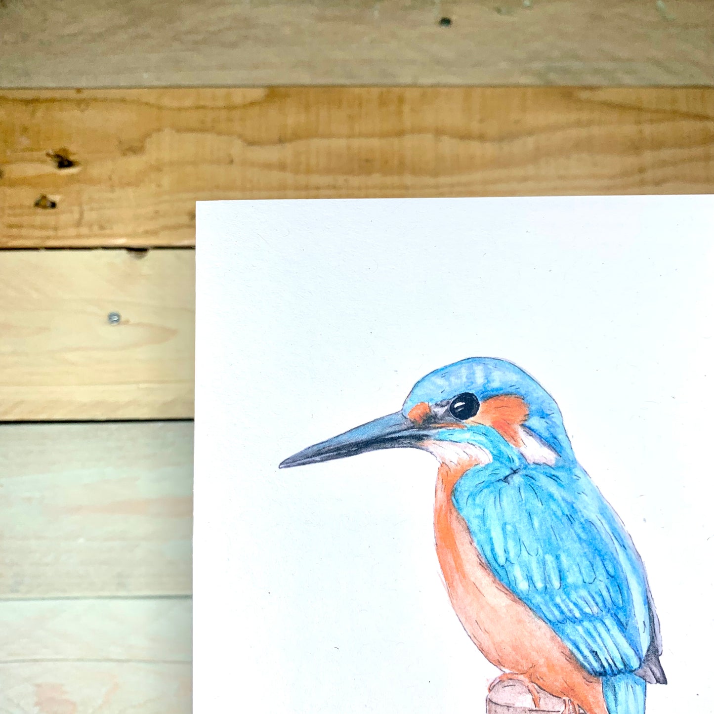 Beaky Blue The Kingfisher Blank Card