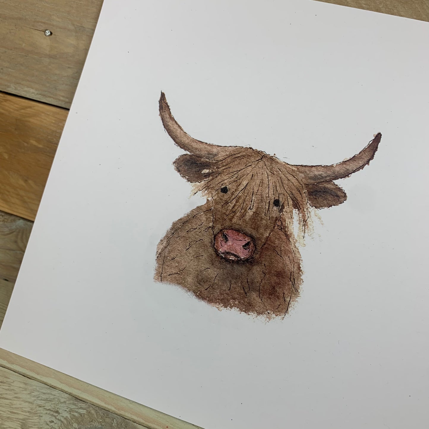 Highland Cow Square Print - Arty Bee Designs 