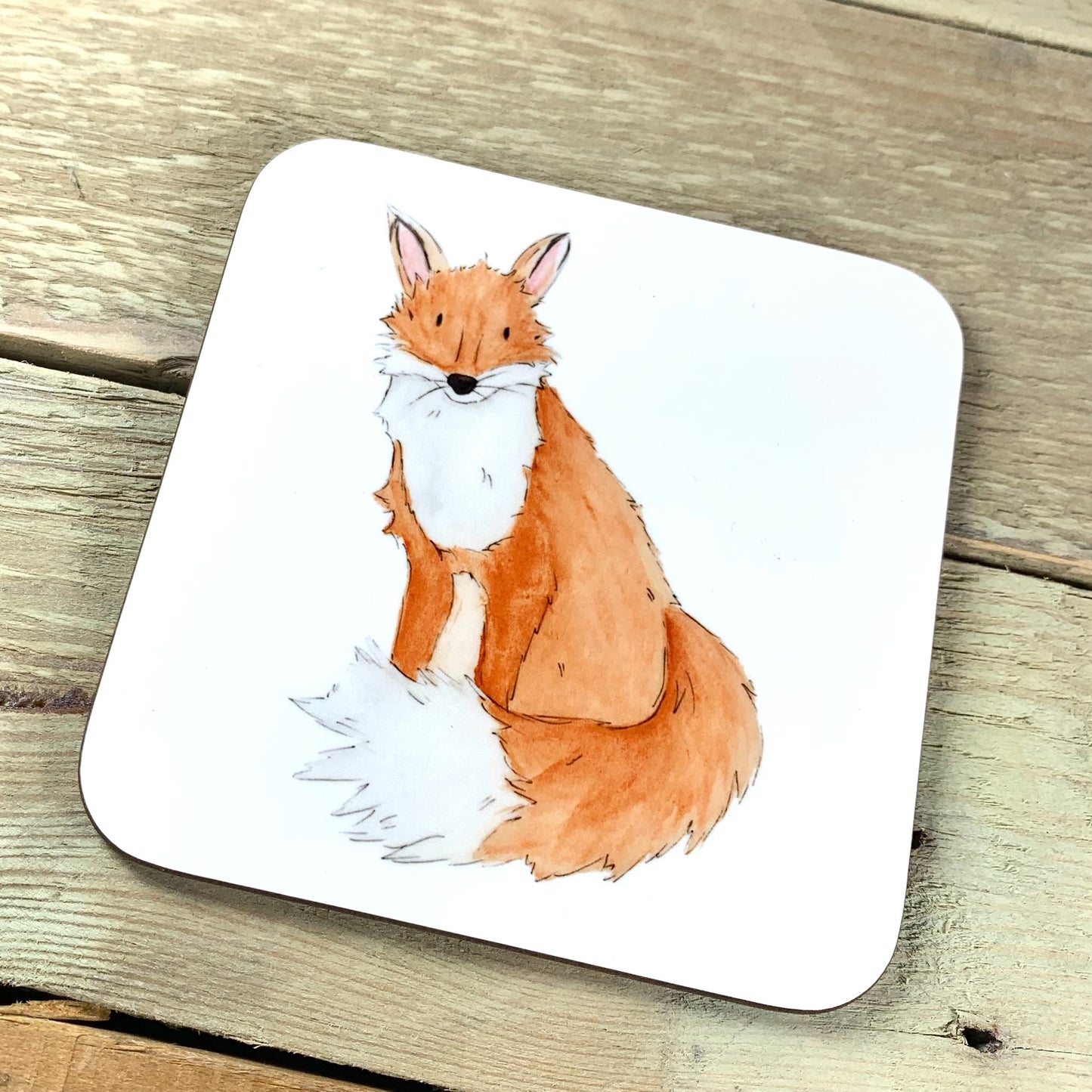Mr Fox Coaster